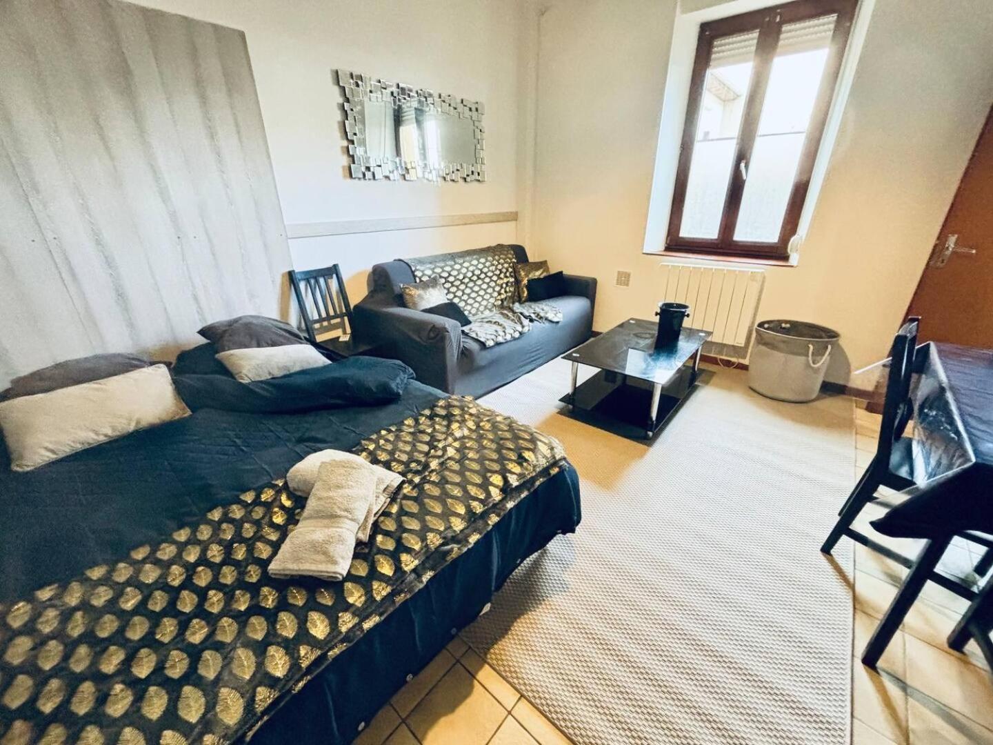 Le Lorrain Wifi Un Sejour A Part Apartment Metz Ngoại thất bức ảnh